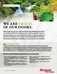 Environmental Statement