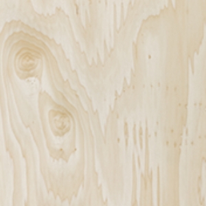 Warm up your home with the understated look of poplar. Compared to other woods, poplar has a relatively uniform texture, with a fine to medium grain. The color tone can range from yellow brown to an olive green. Poplar can be stained and is often used when a very smooth paint finish is required.